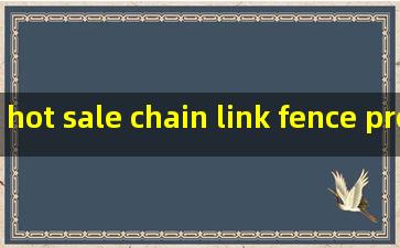 hot sale chain link fence product
